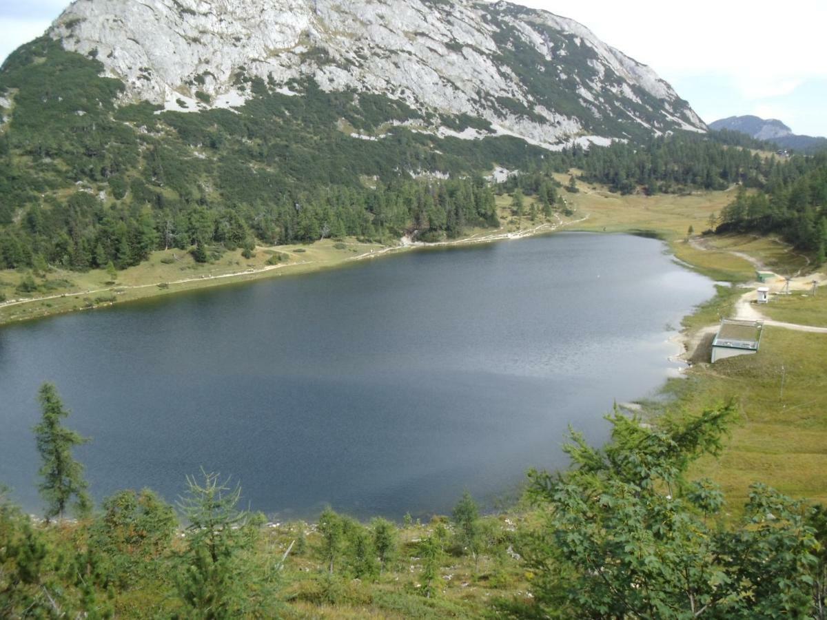 Weideblick Appartement Tauplitz Buitenkant foto