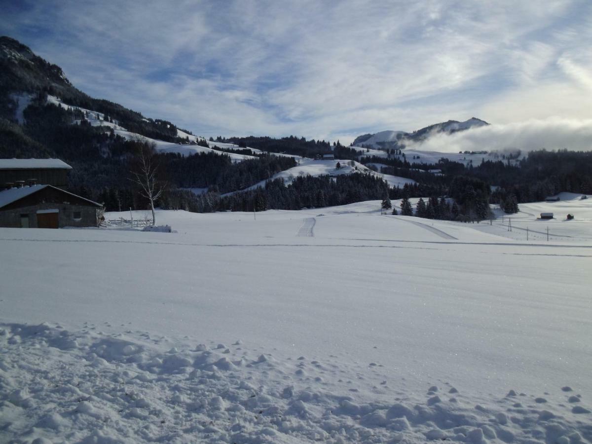 Weideblick Appartement Tauplitz Buitenkant foto