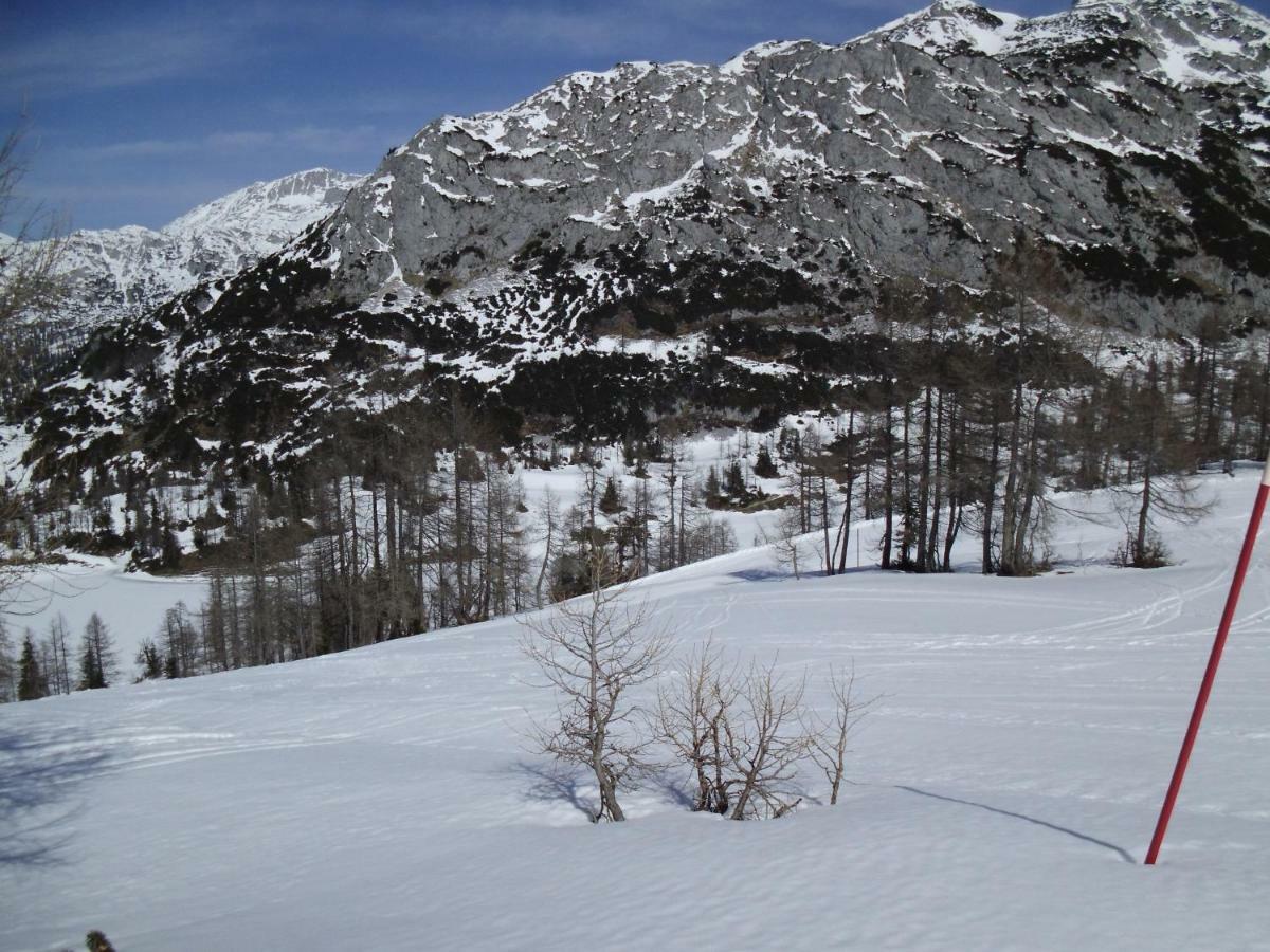 Weideblick Appartement Tauplitz Buitenkant foto