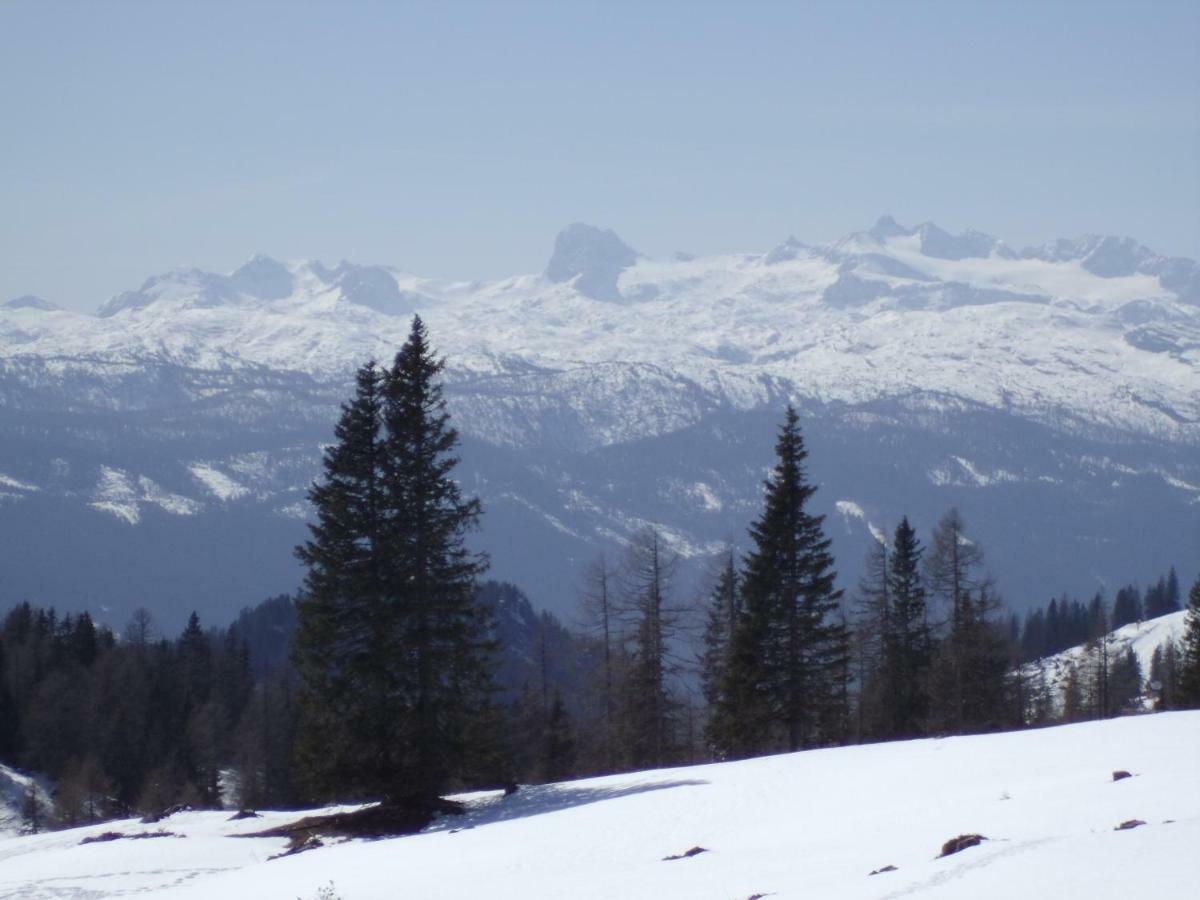 Weideblick Appartement Tauplitz Buitenkant foto